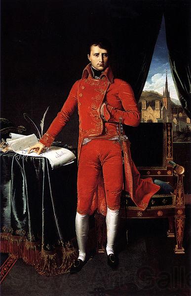 Jean-Auguste Dominique Ingres Portrat Napoleon Bonapartes France oil painting art